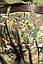 Штани тактичні армійські MILIGUS мультикам Брюки демісезонні Ріп Стоп військові для ЗСУ камуфляжні р. XL, фото 5