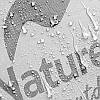 Намет надлегкий двомісний з футпринтом Naturehike Star-River 2 Updated NH17T012-T, 210T, помаранчевий, фото 8
