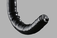 Колоноскоп Fujifilm з аксесуарами EC-720R/I