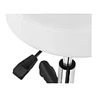 Стілець косметичний круглий перукарський PAPILIO обертається, фото 3