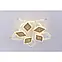 Люстра світлодіодна з пультом V K39939/5+5+1 WT+gold, фото 3