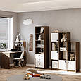 Письмовий стіл Open shelf 750х1200х550 мм   Дуб Родос темний, фото 4