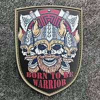 Шеврон на липучке щит череп викинг born to be warrior