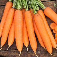 Морква ПЕРФЕКЦІЯ Елітний ряд 20 г