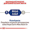 Royal Canin (Роял Канін) Maxi Adult для дорослих собак великих розмірів від 15 місяців до 5 років 4кг, фото 6
