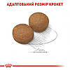 Royal Canin (Роял Канін) Maxi Adult для дорослих собак великих розмірів від 15 місяців до 5 років 4кг, фото 5