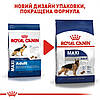 Royal Canin (Роял Канін) Maxi Adult для дорослих собак великих розмірів від 15 місяців до 5 років 4кг, фото 3