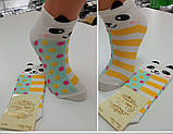 Шкарпетки жіночі  Calze More-Панда Кольорова укорочені бавовна Туреччина 36-40  | 1 пара, фото 2