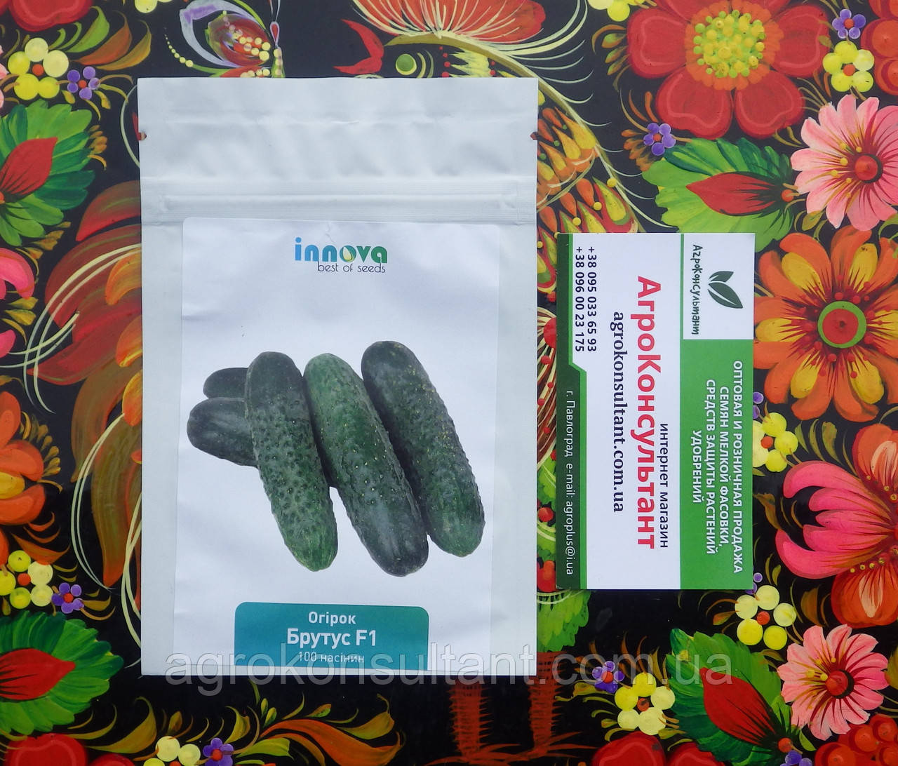 Насіння огірка Брутус F1 (Innova Seeds), 100 насінин - партенокарпік, ранній (32-375 днів), корнішон