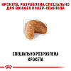 Royal Canin (Роял Канин) Cocker - Сухий корм для кокер спанієлів 3 кг, фото 6