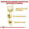 Royal Canin (Роял Канин) Cocker - Сухий корм для кокер спанієлів 3 кг, фото 7