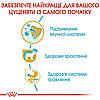 Royal Canin (Роял Канин)Jack Russell Terrier Puppy -Сухий корм для щенят джек-рассел-тер'єра 500гр, фото 7