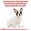 Royal Canin (Роял Канин) French Bulldog Puppy -Сухий корм для цуценят французького бульдога 3кг, фото 5