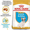 Royal Canin (Роял Канин) French Bulldog Puppy -Сухий корм для цуценят французького бульдога 3кг, фото 3
