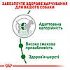 Royal Canin Mini Adult для дорослих собак дрібних порід від 10 місяців до 8 років 4кг, фото 7