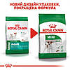 Royal Canin Mini Adult для дорослих собак дрібних порід від 10 місяців до 8 років 4кг, фото 6