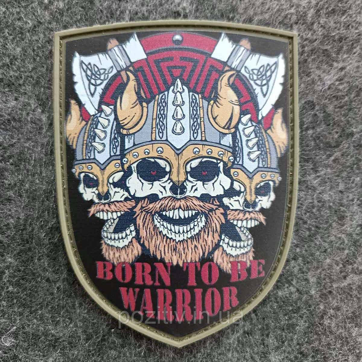 Шеврон на липучці щит череп вікінг born to be warrior