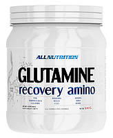 Глютамин All Nutrition Glutamine 500 грамм