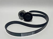 Комплект ременя генератора на Рено Кангу I 1.5 dci K9K / Renault ORIGINAL 117203694R, фото 2