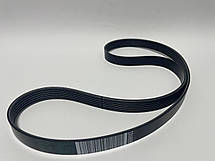 Комплект ременя генератора на Рено Кангу I 1.5 dci K9K / Renault ORIGINAL 117203694R, фото 4