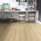 Вінілова підлога Econfloor SPC Oak 2563, фото 3