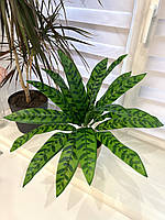 Искусственный куст - калатея лансифолия . Растение декоративное ( латекс 48 см )