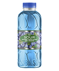 Добриво Rost® Sour для лохини - 1,2 л