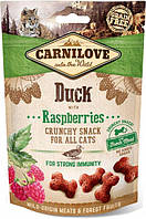 Ласощі для котів Carnilove Duck with Raspberries 50 г для імунітету з качкою та малиною