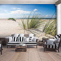 Флизелиновые фотообои для кухни 3D Вид на песчаные дюны 460 x 300 см Трава на морском пляже (13049V12)+клей