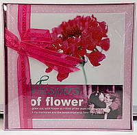 Фотоальбом CHAKO 10x15x200 C-46200RCG Whispers of Flower in Box Pink, в подарочной коробке.