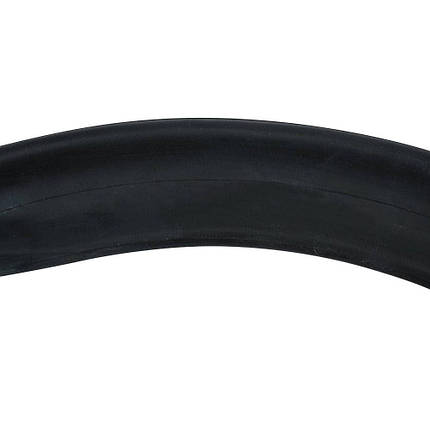 Камера 20", 2.125 Royalbaby, фото 2