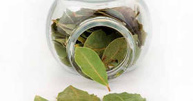 Лаврове листя сушене