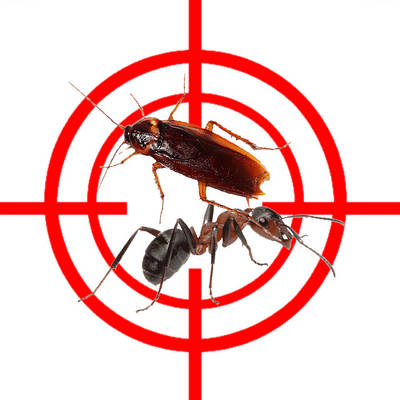 Захист від тарганів та мурах