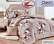Постільна білизна Koloco Klassic Євро, фото 7