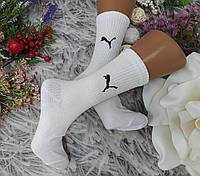 Дитячі шкарпетки р. 36-39 підліткові стрейч високі спорт білі за 1 пару 0105