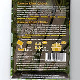 Редька Дайкон Клик слона, насіння 2.0 г, фото 4