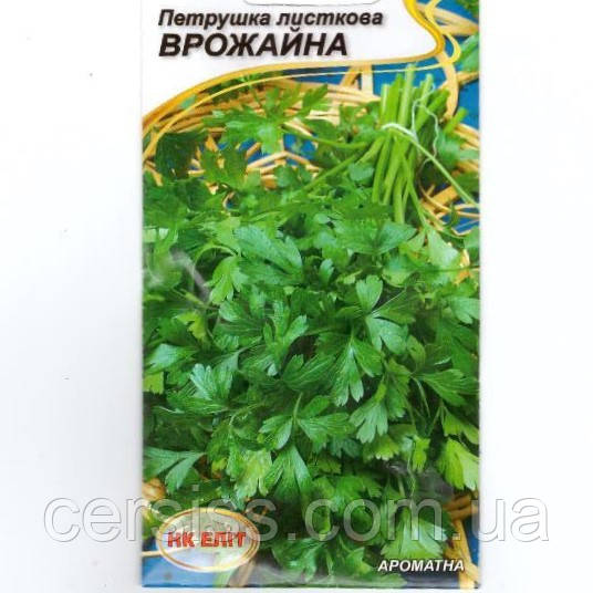 Петрушка листова Врожайна, насіння 3 г