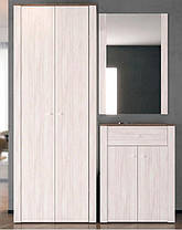 Шафа Токай 2200х820х400мм сосна каньйон + дуб сонома трюфель Гербор, фото 5