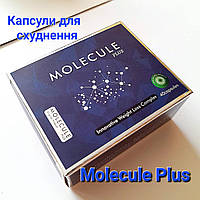 Molecule Plus оригінальні потужні капсули для схуднення Молекула Плюс (40 шт.). Гарантія якості!
