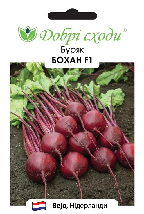 Буряк Бохан 200 шт.