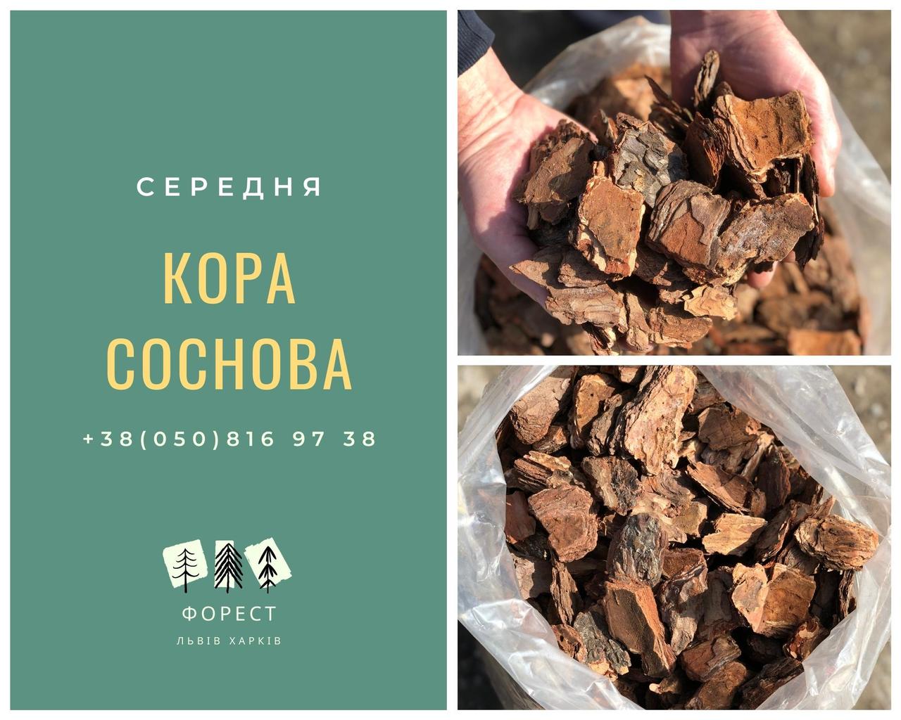 Купить Кора Соснова Середня (4-6 см), цена 120 ₴ — Prom.ua (ID#1788683406)