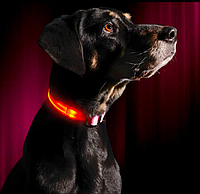 Светящийся LED ошейник с аккумулятором для собак для вечерних прогулок с USB зарядкой Красный L(36-57см)