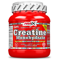 Креатин Amix Creatine monohydrate 500 г