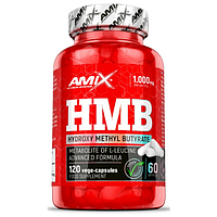 Препараты для быстрого роста мышц Amix HMB 120 капс