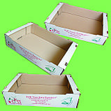 Гофроупаковка, фото 4