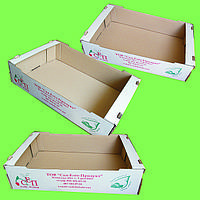 Гофролотки для фруктів і овочів