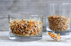 Паростки ПШЕНИЦІ Wheatgrass Sadovе 50 г