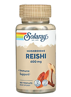 Solaray Reishi Mushrooms 600 mg 100 Veg Caps