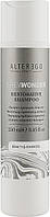 Шампунь для волосся, що відновлює Alter Ego Restorative Shampoo 250мл