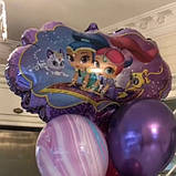 Фольговані гелієві кулі з героїнями мультфільму Shimmer and Shine серце, діаметр 48 см, фото 3